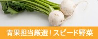 ʒSIIXs[h