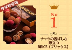 ibc̍΂ۗBRICSiubNXj