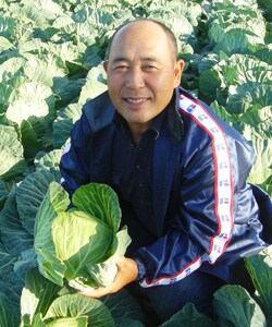 三竹さんのキャベツ