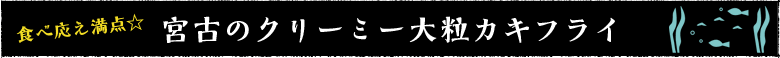 H׉_{ẪN[~[嗱JLtC