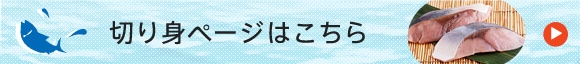 ؂g͂灨؂gJe