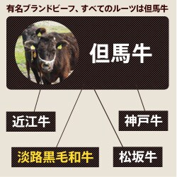 淡路島黒毛和牛