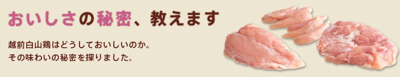 ̔閧A܂B