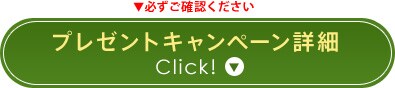 v[gLy[ڍׂ͂