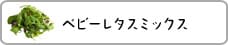 xr[^X~bNX