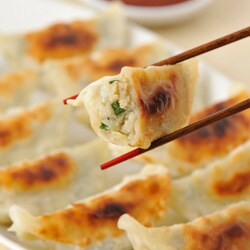 お徳用 国産野菜とお肉の餃子