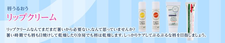 O邨@bvN[
