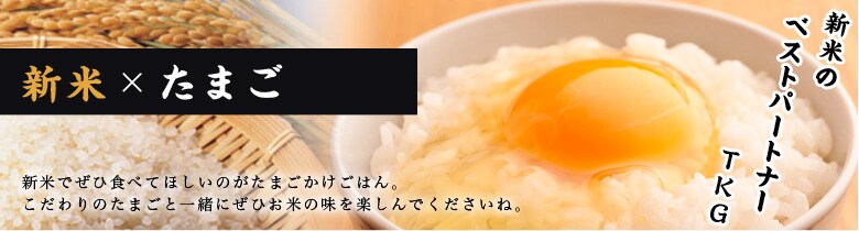 VẮ@xXgp[gi[@TKG@`܂͂`