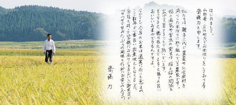 生産者斉藤さんのコメント
