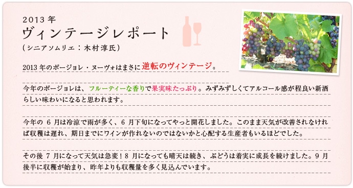 2013�N�@���B���e�[�W���|�[�g