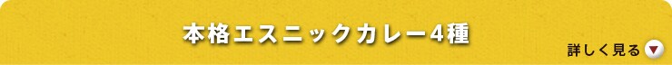 本格エスニックカレー4種