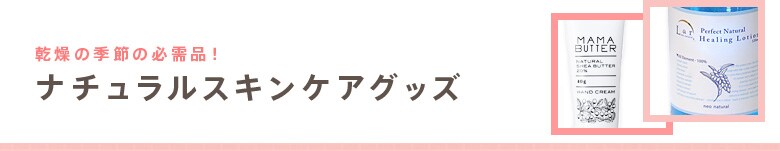 ̋G߂̕KiIi`XLPAObY