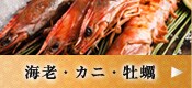 GrEɁEy