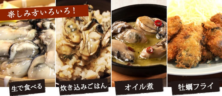 �y���ݕ����낢��I