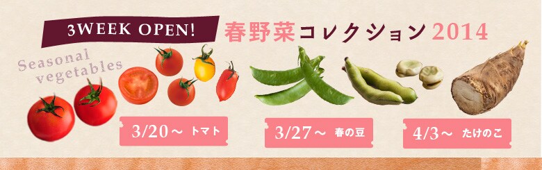 3週間限定 春野菜コレクション
