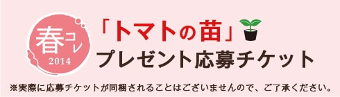 プレゼント応募チケット