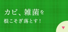 JrEGۑ΍