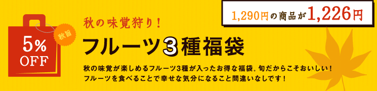 福袋01