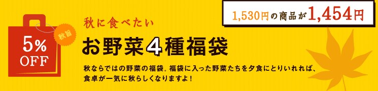 福袋02