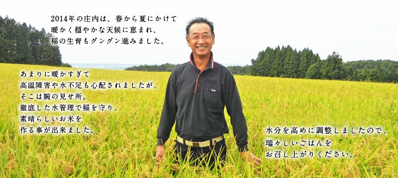 生産者斉藤さんのコメント
