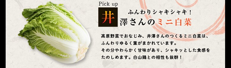 白山鶏と井澤さん白菜の水炊き