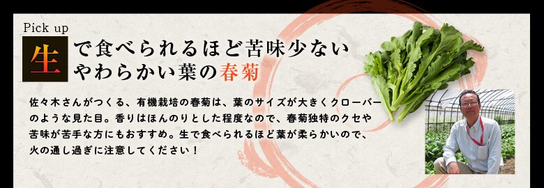 白ごま仕立ての豆乳鍋