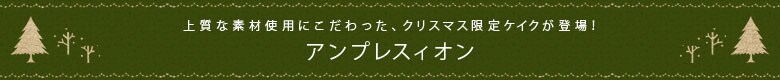 上質な素材使用にこだわった、クリスマス限定ケイクが登場!
アンプレスィオン