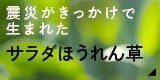 kЂŐ܂ꂽT_ق