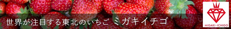 世界が注目する東北のいちご ミガキイチゴ