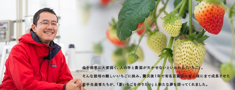 世界が注目する東北のいちご ミガキイチゴ
