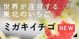 Eڂ铌k̂ ~KLC`S