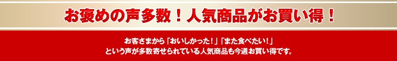 お褒めの声多数！人気商品がお買い得！