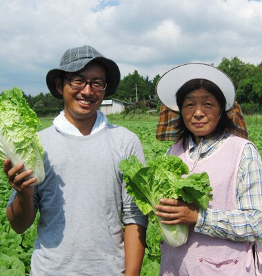 農家が漬けた白菜漬け