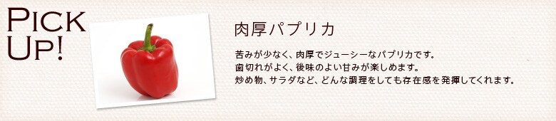合挽き肉と肉厚パプリカのチャプチェ
