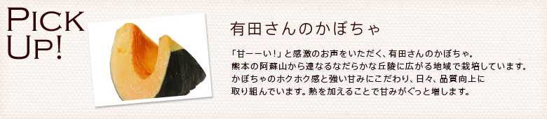 ڂƃN[`[ỸfT_