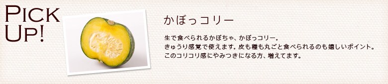 ڂR[̃ooW[T_