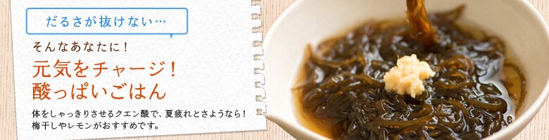 E~l⋋