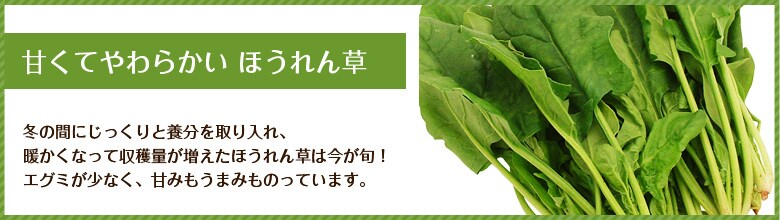 ほうれん草