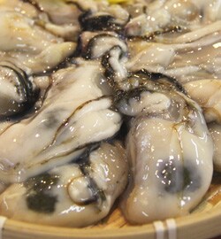 瀬戸内産 ぷりっぷり大粒牡蠣