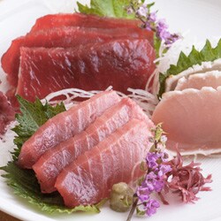 天然本マグロ