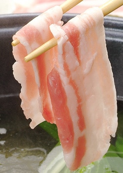 天然本マグロ