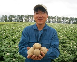 斉藤さんの男爵いも