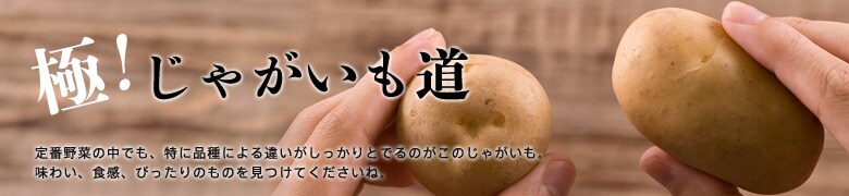 極!じゃがいも道