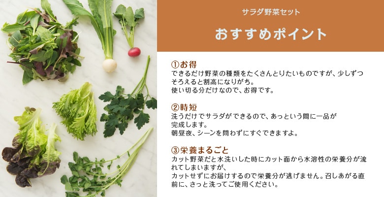 おすすめポイント