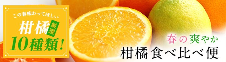 柑橘食べ比べ便