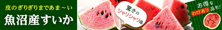魚沼産すいか