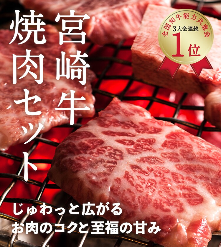 宮崎牛焼き肉セット 19年 Oisix父の日ギフト特集