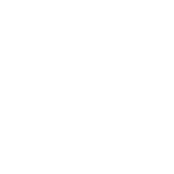 SOLD OUT