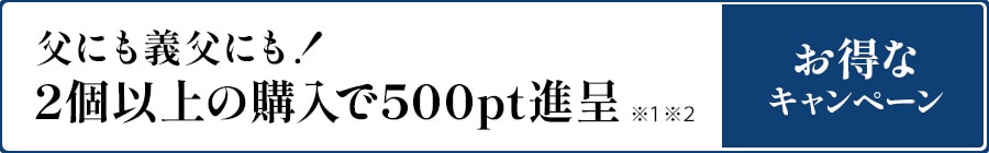 Qȏ̍w500pti