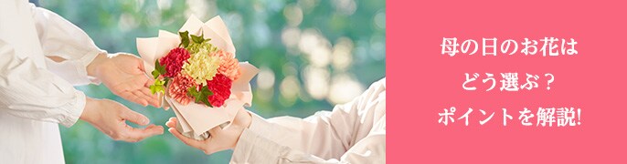 ��̓��̗R���ƉԑI�т̃|�C���g�I�J�[�l�[�V�����̐F�ʉԌ��t�����